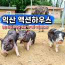 포니하우스 | 익산 아이와 가볼만한곳 익산 액션하우스 동물 체험 놀거리