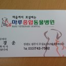 마루종합동물병원 Daum카페