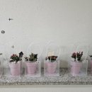 샘머리유치원 이미지