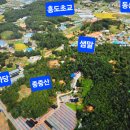 장씨비닐