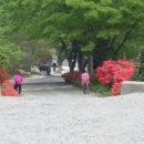 다솜상사 Daum카페