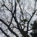 구암동355 이미지