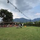 가온펫샵 이미지