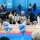 신목초교 | “신정동 태권도 고민하는 부모님이라면… 신목초 아이들이 꾸준히 다니는 이유”