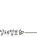 도봉-도봉-서울도봉-2154 이미지