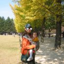 토토즐 댄스 이미지