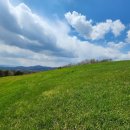 샘터목장 이미지