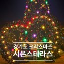 남이천 주유소 | 경기도 크리스마스 아이와 가볼만한곳 시몬스테라스 트리 카페 평일 꿀팁