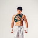 트레이닝 마에스트로 이미지