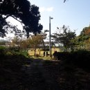 신효동-5 이미지