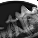 이솜 동물병원 이미지