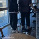 나리안길 군민스포츠센터 이미지