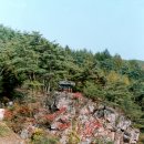 강림면340 이미지