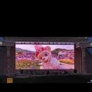 비바비디오 이미지