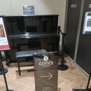 코티스 앰버서더 이미지