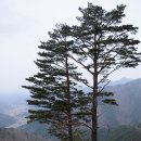 목계교