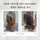 금강유화 | [공지] 사직동 미용실 위레이블 | 민지 디자이너 애쉬브라운 염색 후기