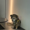 대호김밥식당 | 2025, 11 또 어떤 어른이 됐나요