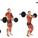 웨이트 트레이닝 이미지