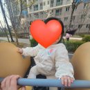 벌교읍 무만경로당 | 25년 4월, &#39;뚜띠&#39;의 월간일기