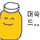 디어베이비 이미지