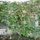 이평면사무소 이미지