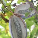 석가가든 이미지