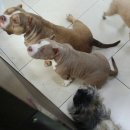 우소농장 이미지