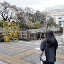 세븐일레븐 고대제일점 | [Shizuoka] 2월 시즈오카