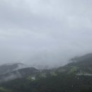 태백카센타 이미지