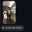 디플릿 | 2달 다이어트 -4.5kg 감량한 찐 후기 (보조제 X, 식단·운동으로만)