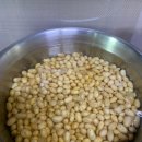 단군나라 이미지