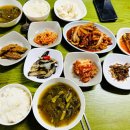 대흥역 밥집 대박식당 1인 9천원 백반 후기