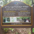 국립신불산폭포자연휴양림 이미지