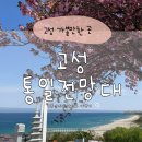 통일차유리 - 음성군 가곡로 28 | 고성 가볼만한곳 통일전망대 출입신고 입장료 가족여행 후기