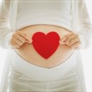 금란자연 이미지