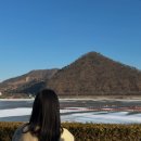 카페1989 | 유럽 감성의 서울 근교 카페 남양주 "왈츠와 닥터만" 런치 후기