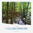 대전 장태산 자연휴양림 캠핑장, A4 사이트 소개 및 야영장 명당