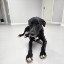 옥계2공단로 이미지