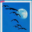 고려가정의원 이미지