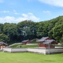 서천리 당산 이미지