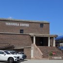 유다리길 이미지