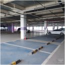 머슬뷰 짐 이미지