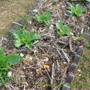 보리어린이집 이미지