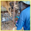 (주)바우와우코리아 이미지