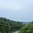 정아민박