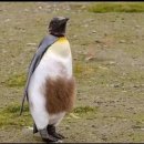 그냥거기 이미지