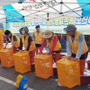 주천면 하주마을 이미지