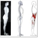 이강한방병원 | 알아두면 도움 되는 물리치료사의 근골격계 치료 분야 정리