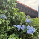 엑스포로2(서) 이미지